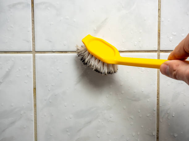 Best Same-Day Mold Removal  in Three Rivers, MI