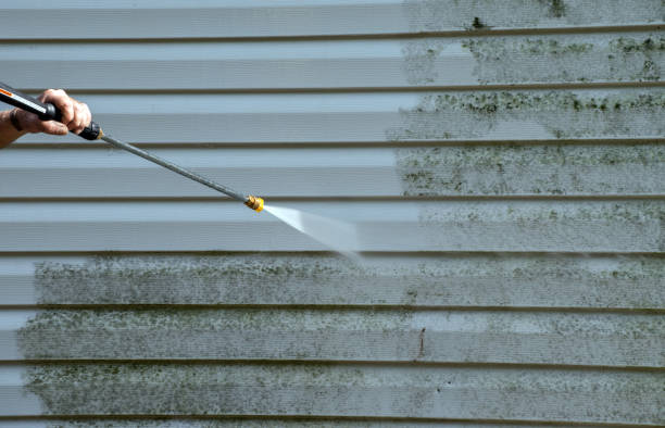Mold Removal and Inspection in Three Rivers, MI