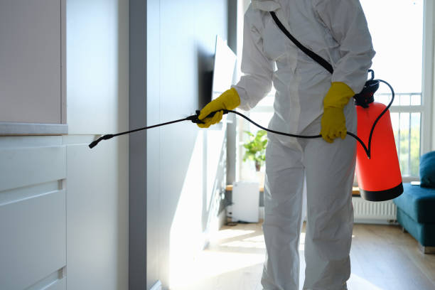 Best Professional Mold Removal  in Three Rivers, MI