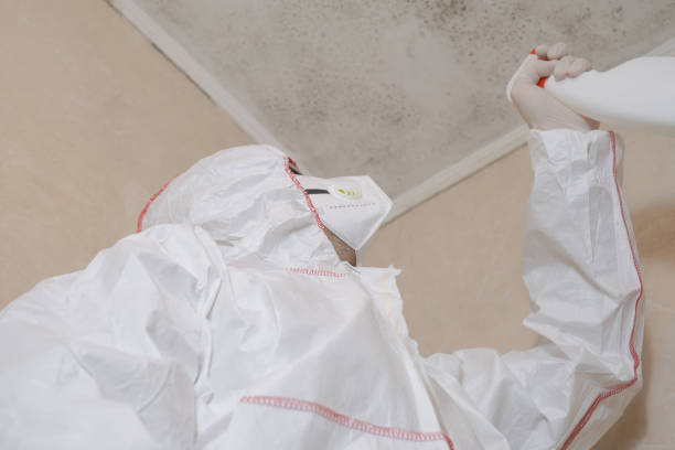 Best Mold Cleaning Services  in Three Rivers, MI