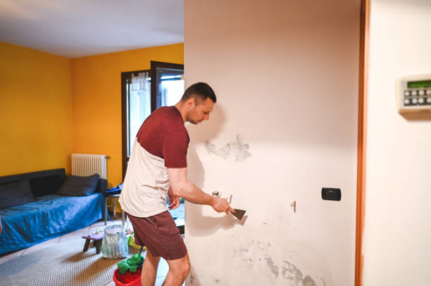Best Toxic Mold Removal  in Three Rivers, MI